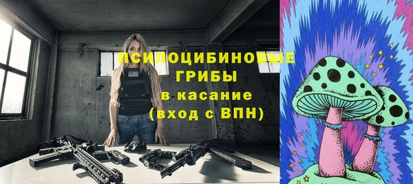 твердый Аркадак