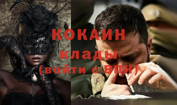 твердый Аркадак