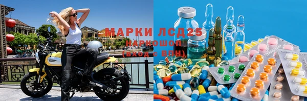 твердый Аркадак